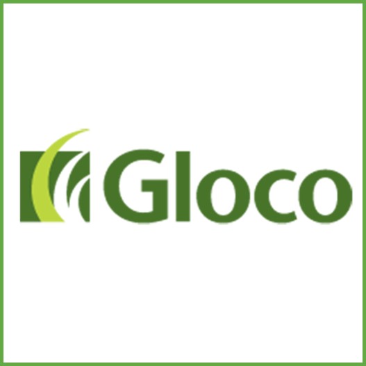 Gloco